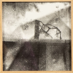 Monotype II